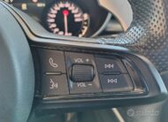 Alfa Romeo Stelvio 2.2 Turbodiesel 210 CV AT8 Q4 V