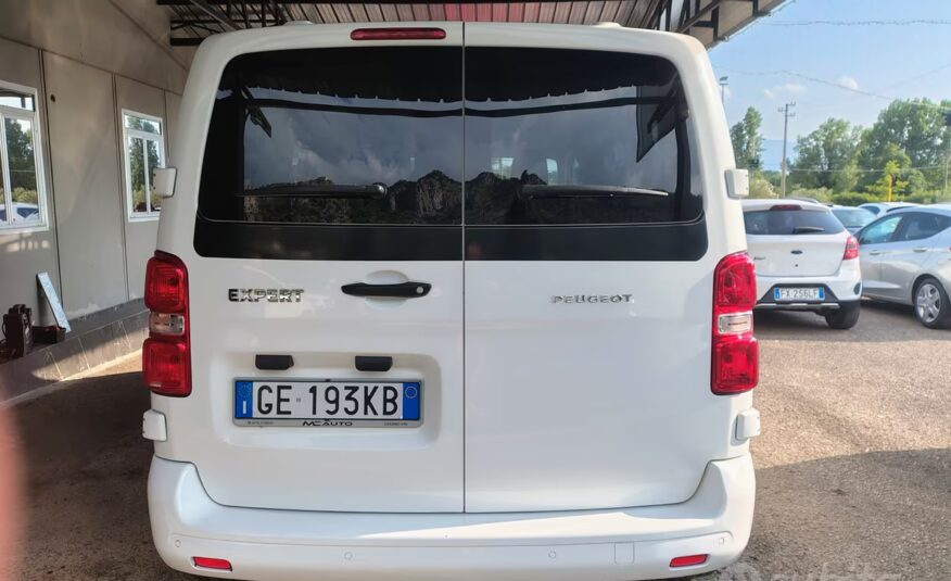 Peugeot Expert BlueHDi 140 S&S EAT8 PL-TN Combi St