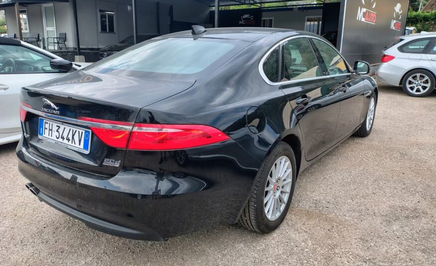 Jaguar XF aut. Portfolio (SOLO PER OPERATORI DEL SETTORE)