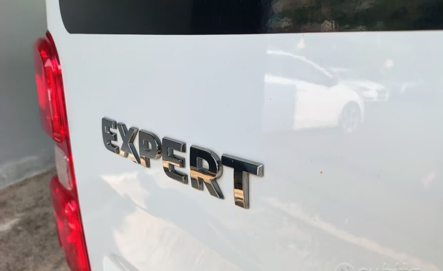 Peugeot Expert BlueHDi 140 S&S EAT8 PL-TN Combi St