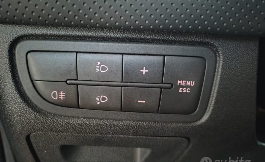Fiat Punto Evo 1.3 Mjt 75 CV DPF 5 porte S&S Dynamic