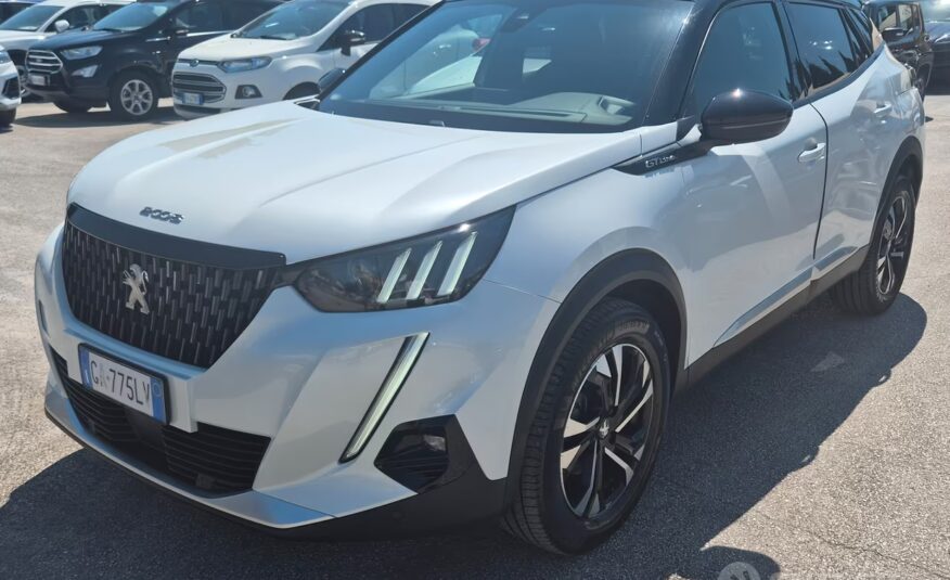 Peugeot 2008 BlueHDi 100 S&S GT Line 2020